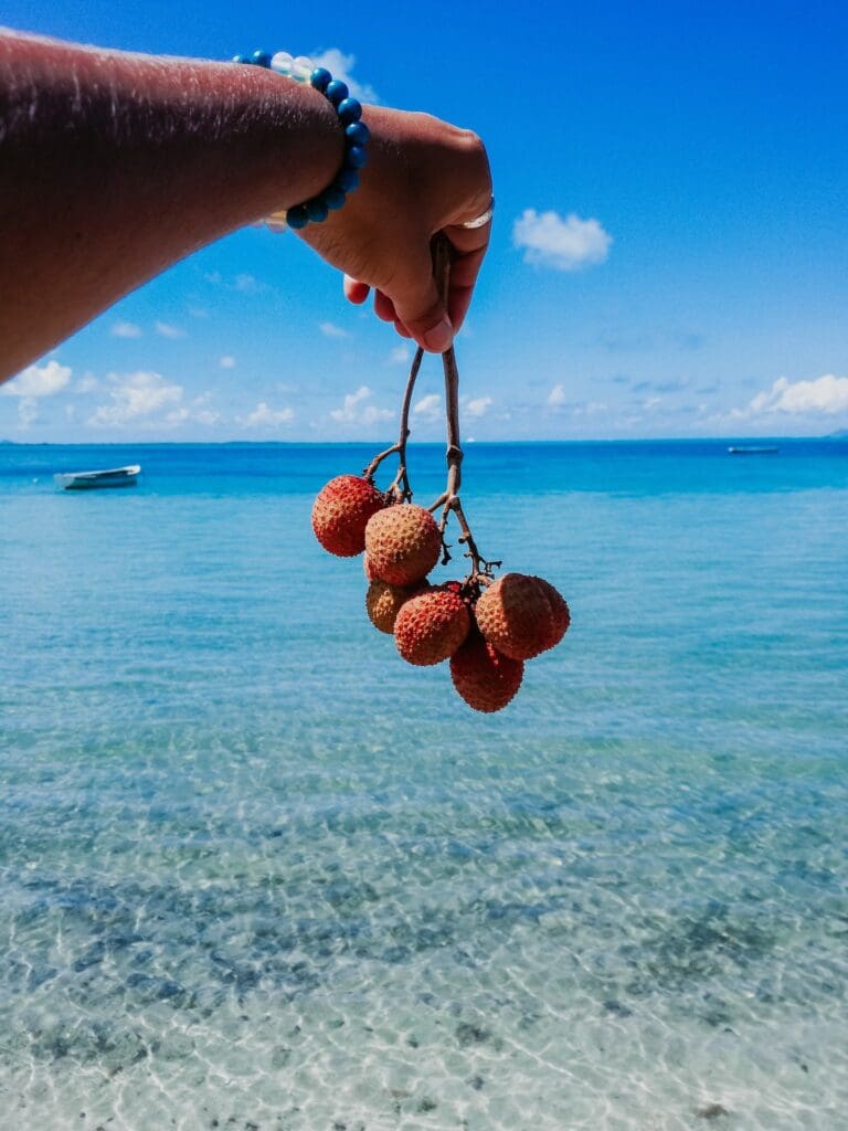 Hand holding lychee berries over ocean