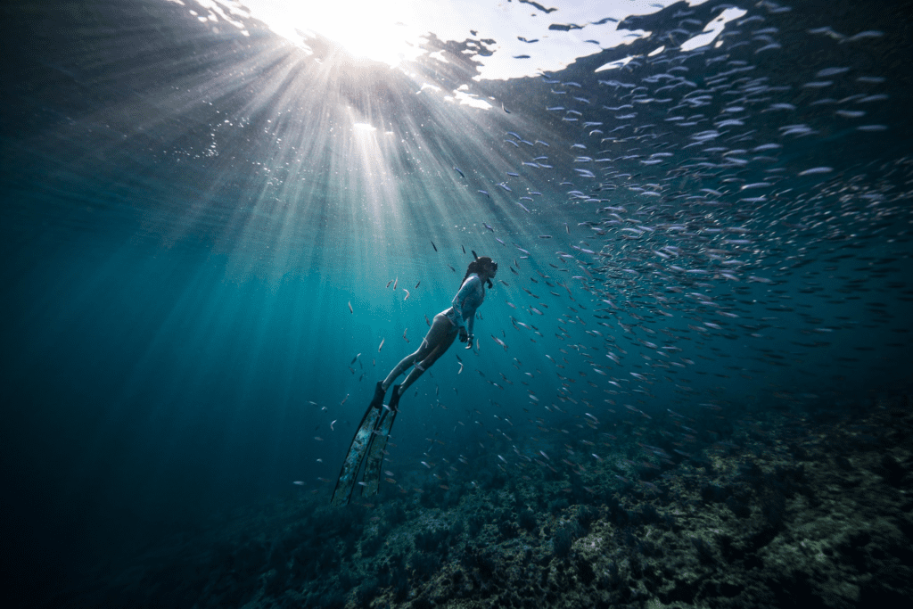 Valentine Thomas floating/freediving underwater in a school of fish