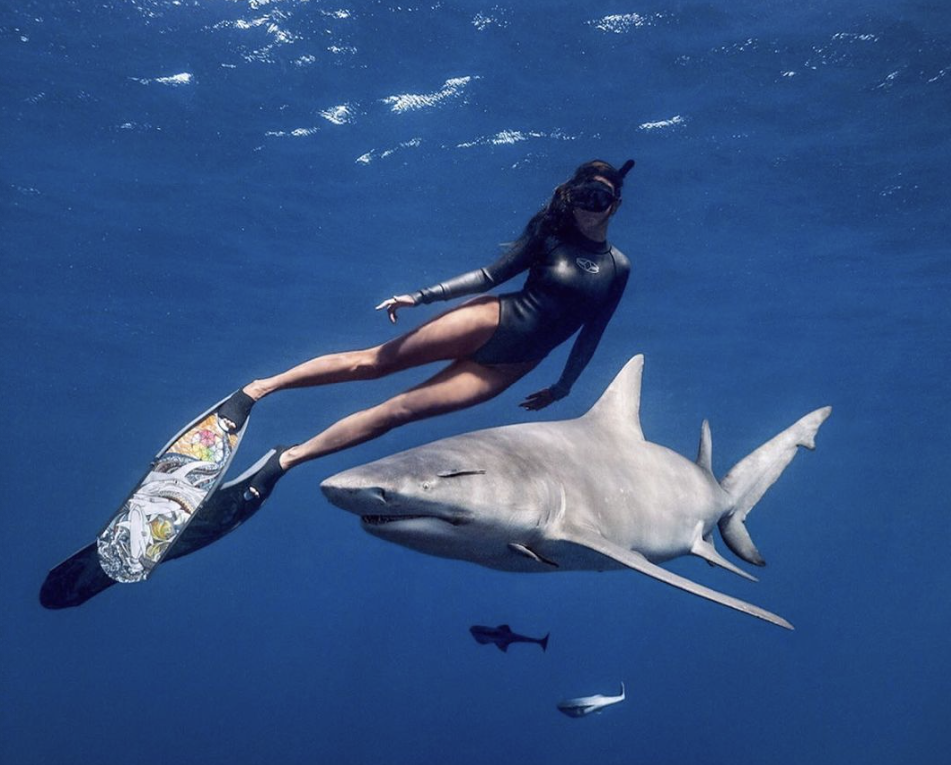 woman diving with shark