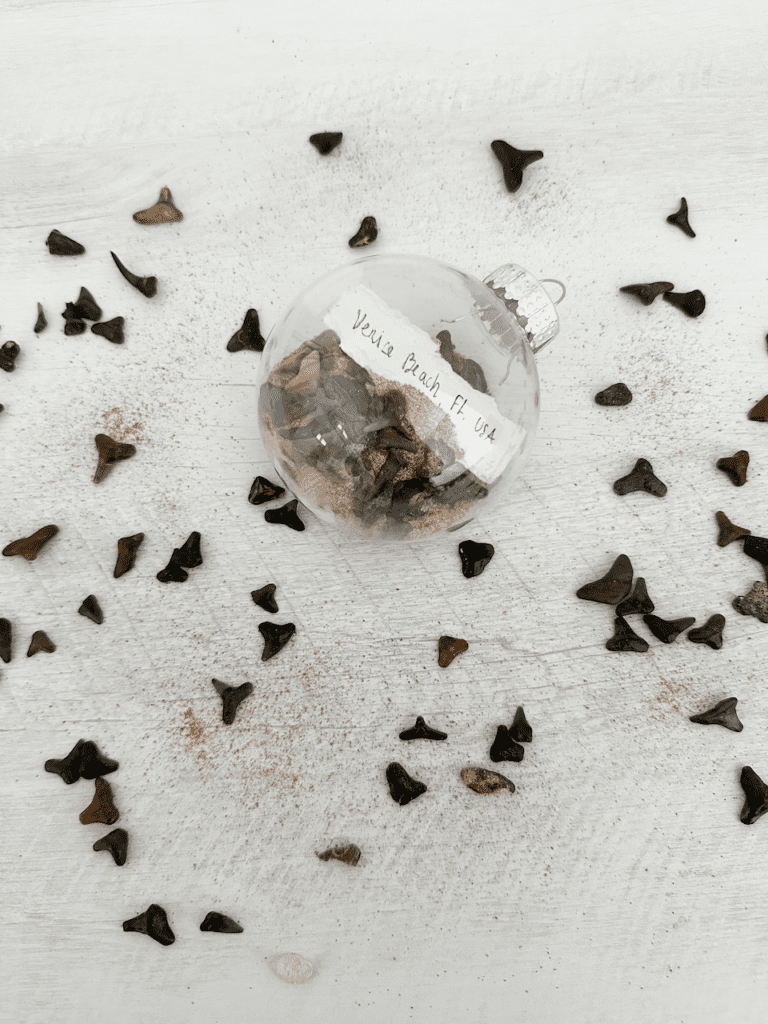Shark teeth Christmas ornament craft: Clear bulb filled with sand and sharks teeth surrounded by fossilized shark teeth on white table